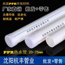 国家电网超级气球成功试运行：吊装2吨重输电塔材至4000米山脊
