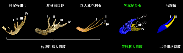 月活用户超1.5亿！全球最大动漫盗版网站HiAnime覆灭