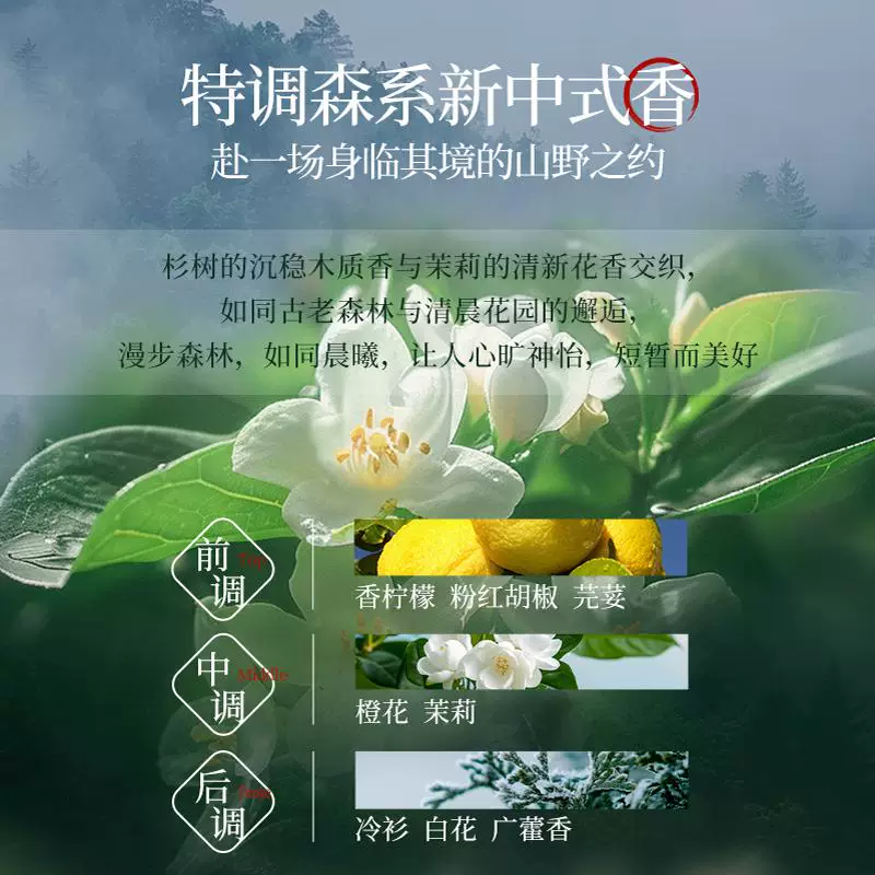 平价版特斯拉Model 3港澳开卖 理想高管:想买还推荐 但要加很多定语