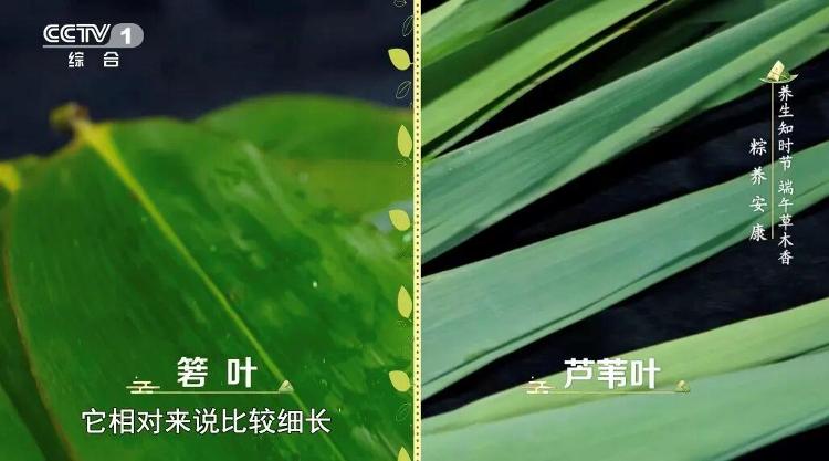 史无前例:华盛顿街头赛车,美国250周年国庆收官