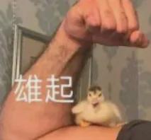 马拉松发朋友圈文案