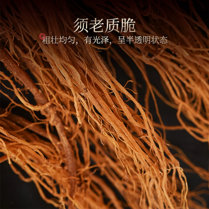Jev 让全球程序员玩疯了