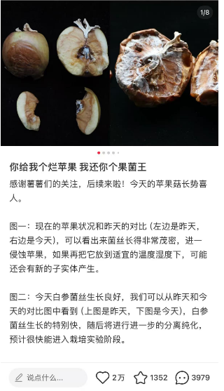宝马CEO：中国车价格低到难以理解